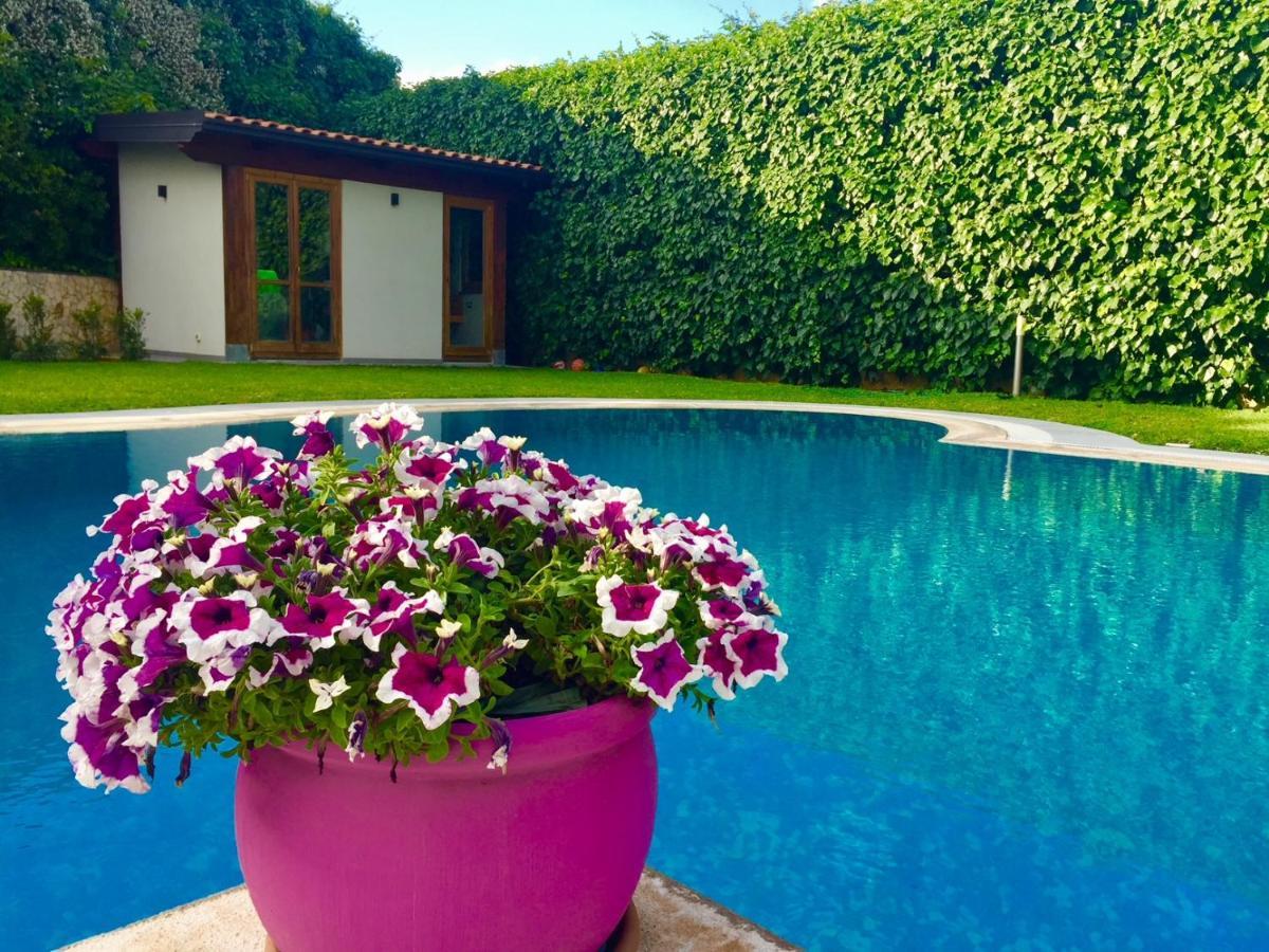 Ara Town House Villa San Giovanni La Punta Exterior photo